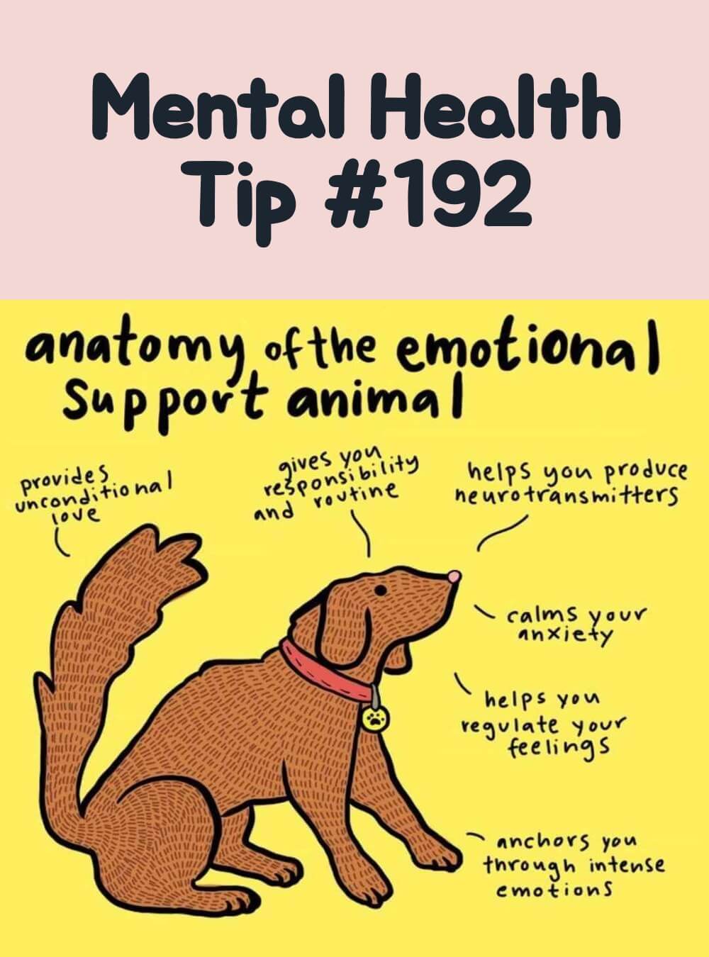Emotional Well-being Infographic | Mental Health Tip #192